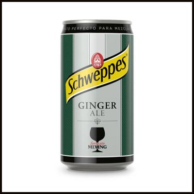 Ginger Ale 3.00€